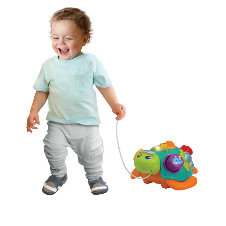 צב גרירה והתאם צורה