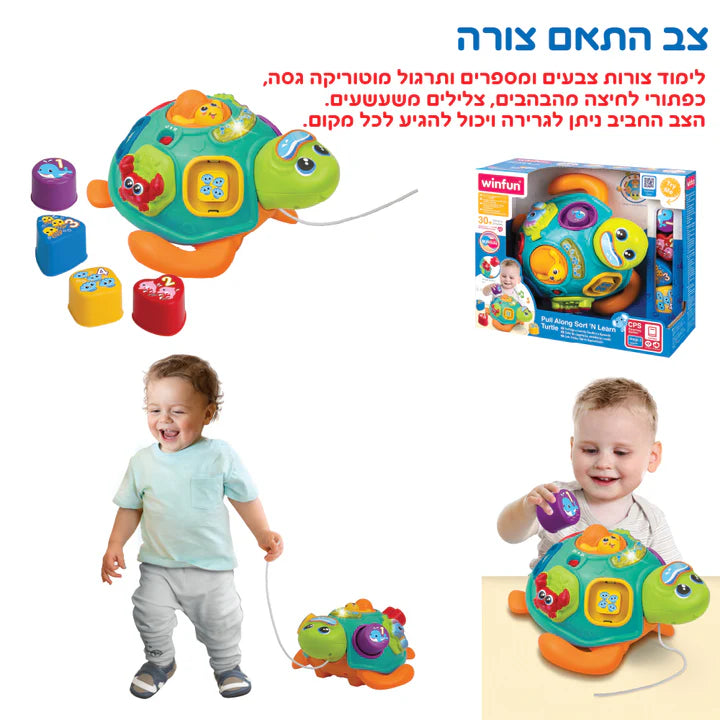 צב גרירה והתאם צורה
