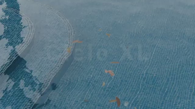 טעינת וידאו: 