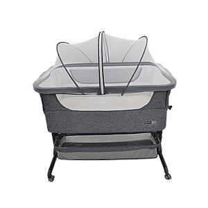 ����� ������ ���� ����