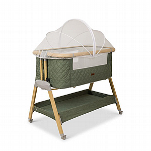 ����� ���� - ���� �� 