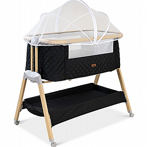 ����� ���� - ���� �� 