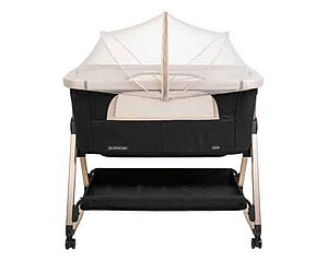 ����� ������ ���� - ���� ������