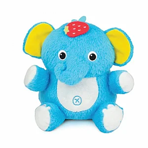 ��� ���� ��� ����� ���