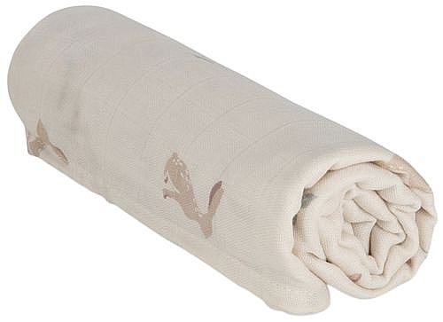 ����� ����� �����