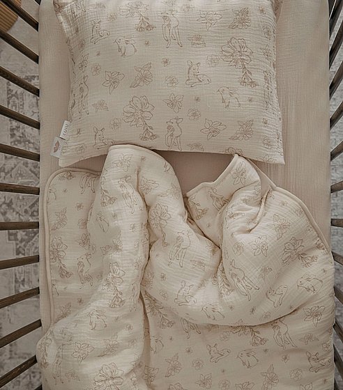 ����� �� ����� ��� ������� �������� �� ���� NINO