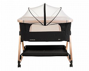 ����� ����� ����- ��� ����