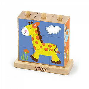 ���� ������ ����